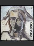 Picasso - náhled