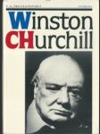 Winston churchill - náhled