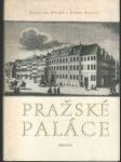 Pražské paláce - náhled