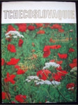 Tchecoslovaquie - náhled