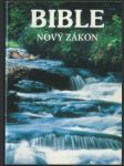 Bible - náhled