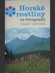 Horské rostliny ve fotografii - náhled