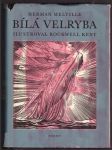 Bílá velryba melville herman - náhled