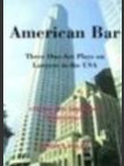 American bar - cvičení pro anglickou konverzaci - náhled