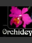 Orchidey - náhled