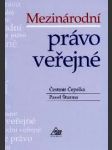 Mezinárodní právo veřejné - náhled