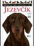 Jezevčík - náhled