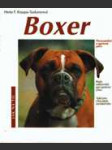 Boxer - náhled