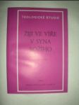 Žiji ve víře v Syna Božího (2) - HONEK Alois - náhled