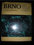 BRNO dílo přírody,člověka a dějin - HÁLOVÁ-JAHODOVÁ Cecilie - náhled