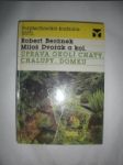 Úprava okolí chaty,chylupy,domku - BERÁNEK Robert / DVOŘÁK Miloš a kolektiv - náhled