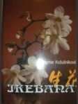 Ikebana - kožušníková dagmar - náhled