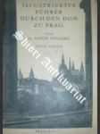 Illustrierter führer durch den dom zu prag - podlaha antonín - náhled