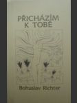 Přicházím k tobě - richter bohuslav - náhled