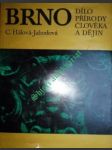 BRNO dílo přírody,člověka a dějin - HÁLOVÁ-JAHODOVÁ Cecilie - náhled