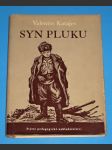 Syn pluku - náhled