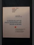 Consolatio philosophiae hodierna : k Šestnácti dopisům Václava Havla = to Sixteen letters of Václav Havel - náhled