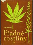 Přadné rostliny - náhled