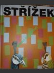 Antonín střížek - obrazy / paintings - dostál martin / pokorný marek / přibáň jiří / ševčíkovi jana a jiří / střížek antonín - náhled