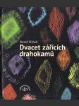 Dvacet zářících drahokamů - náhled