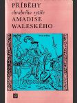 Příběhy chrabrého rytíře Amadise Waleského - náhled