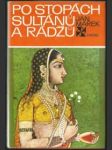 Po stopách sultánů a rádžů - náhled