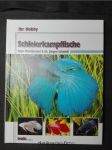 Ihr Hobby, Schleierkampffische, - náhled