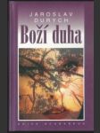 Boží duha - náhled