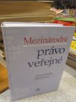 Mezinárodní právo veřejné - náhled