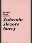 Zahrada slézové barvy - náhled