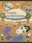 Pristátie na Bielosienke - náhled