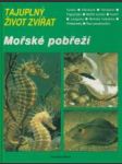 Morské pobřeží - náhled