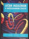 Léčba inzulínem v každodenním životě - náhled