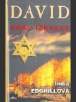 David: král Izraele - náhled