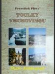 TOULKY VRCHOVINOU - Stručná historie měst, obcí a významných míst vrchoviny - PLEVA František - náhled