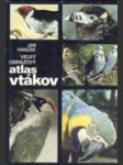 Veľký obrazový atlas vtákov - náhled