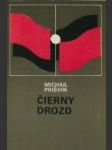 Čierny drozd - náhled