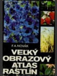 Veľký obrázkový atlas rastlín - náhled