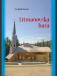 Litmanovská hora - náhled