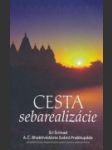 Cesta sebarealizácie - náhled