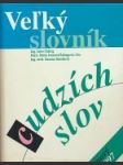 Veľký slovník cudzích slov - náhled