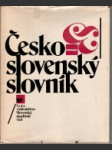 Česko- slovenský slovník - náhled