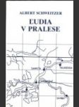 Ľudia v pralese - náhled