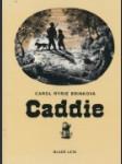 Caddie - náhled