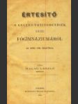 Értesítő a kegyes-tanítórendiek váczi főgimnáziumáról - náhled