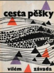 Cesta pěšky - náhled