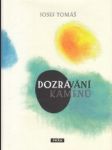 Dozrávání kamenů - náhled